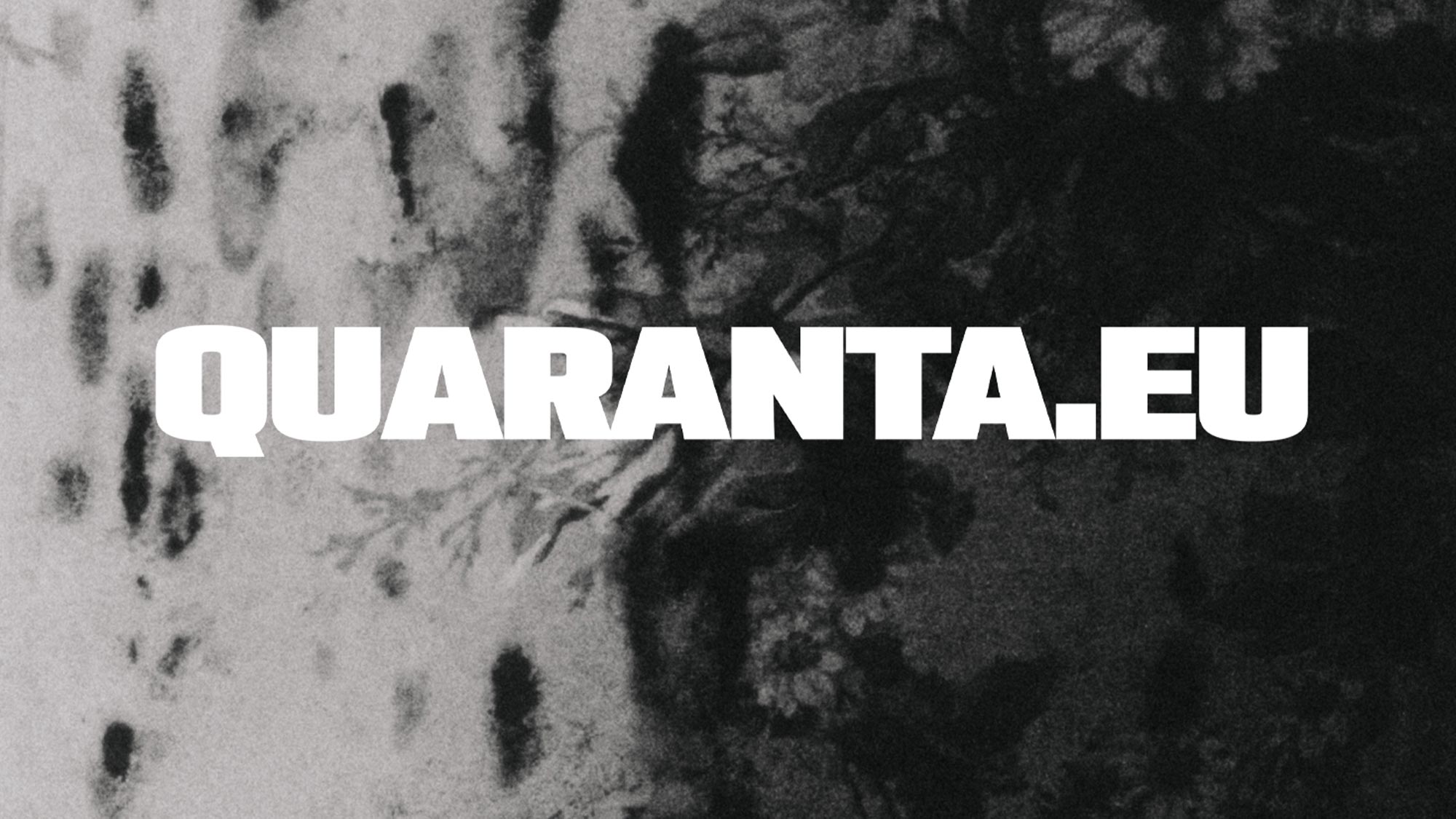 Quaranta.eu | quaranta-eu-banner.jpg