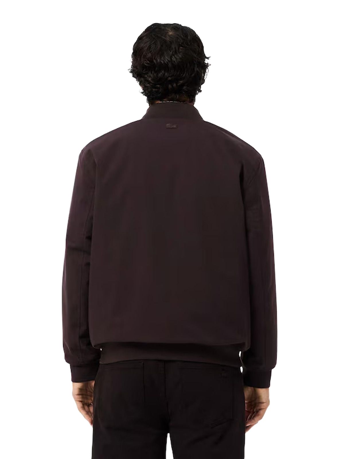 Bomber marrone LACOSTE