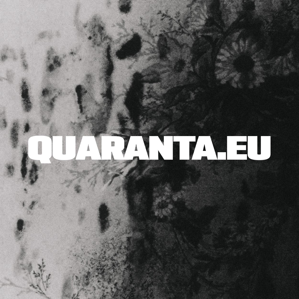 Fresh Mula performed a secret live set at the our Holiday Party In that energy, Quaranta pushed tailoring beyond the expected | Image 1289356