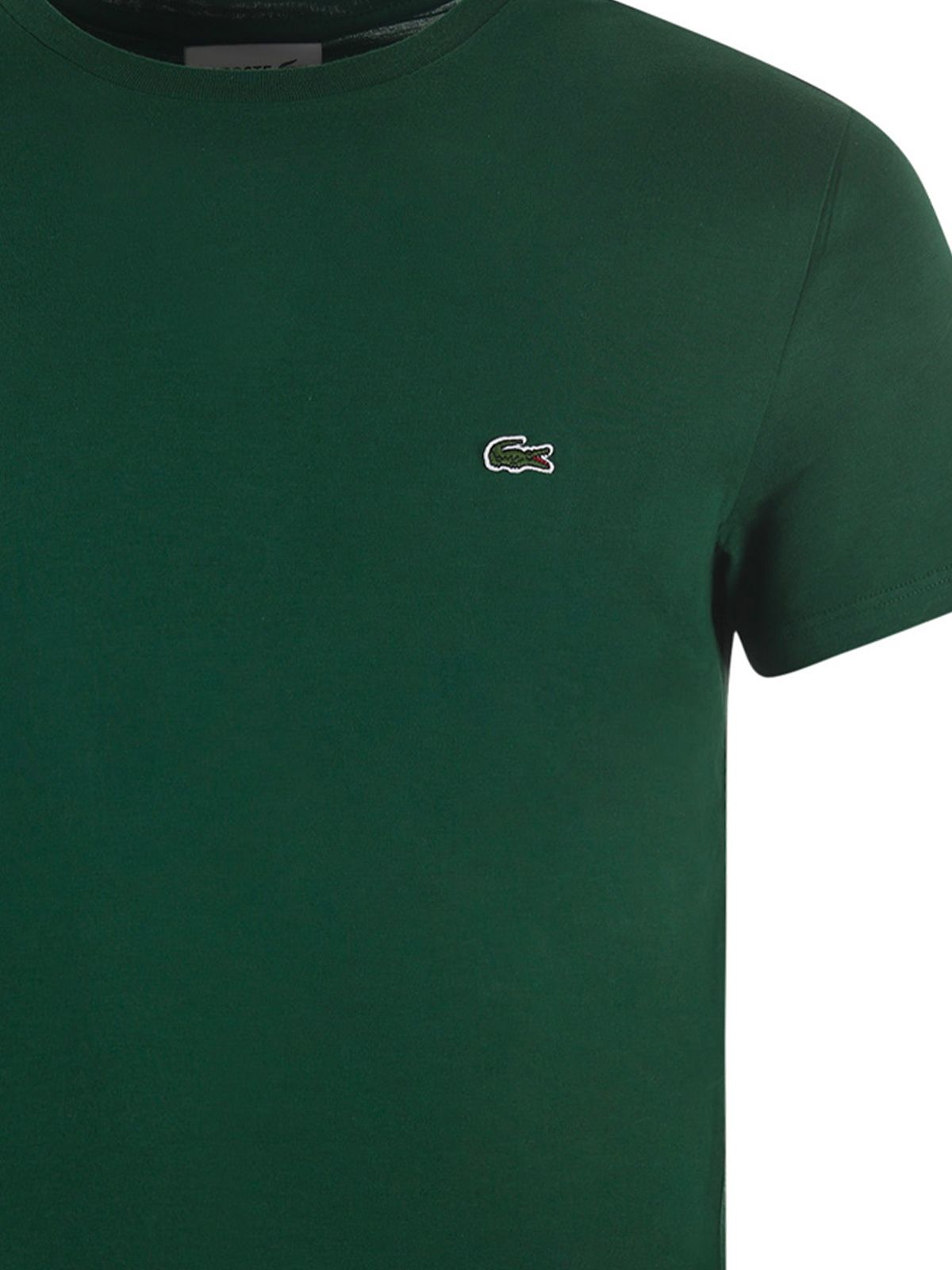t-shirt verde LACOSTE