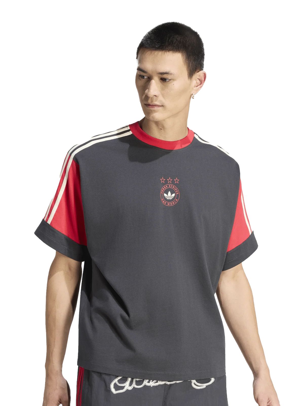 Paneled gfx tee gray