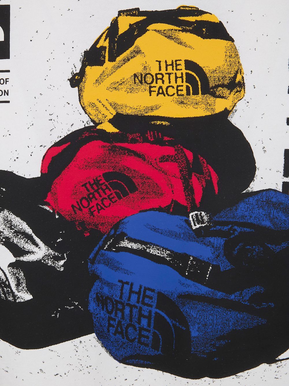 celebration relaxed tee white  THE NORTH FACE