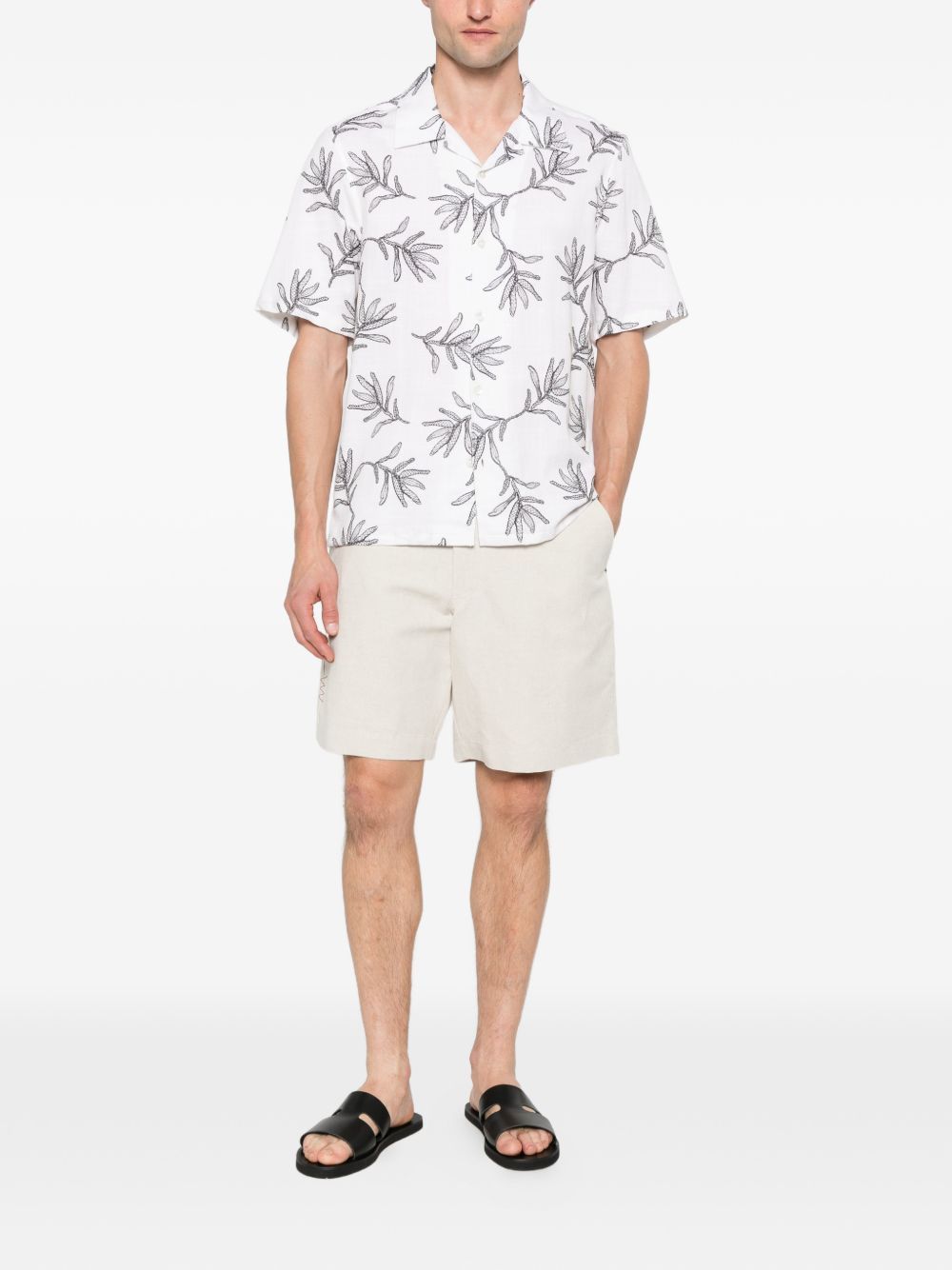 short white  AMARANTO