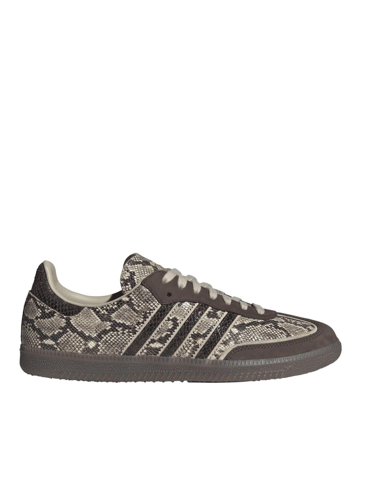 samba og Khaki Snakeskin marroni 