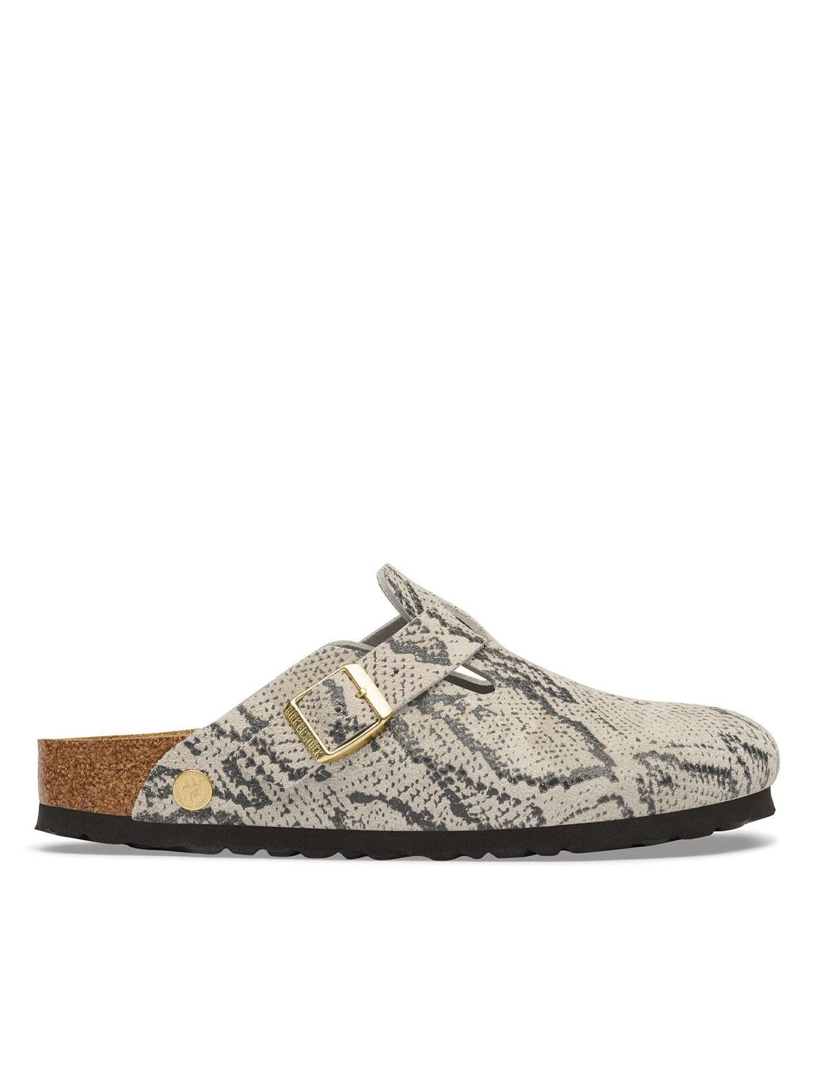 boston snake