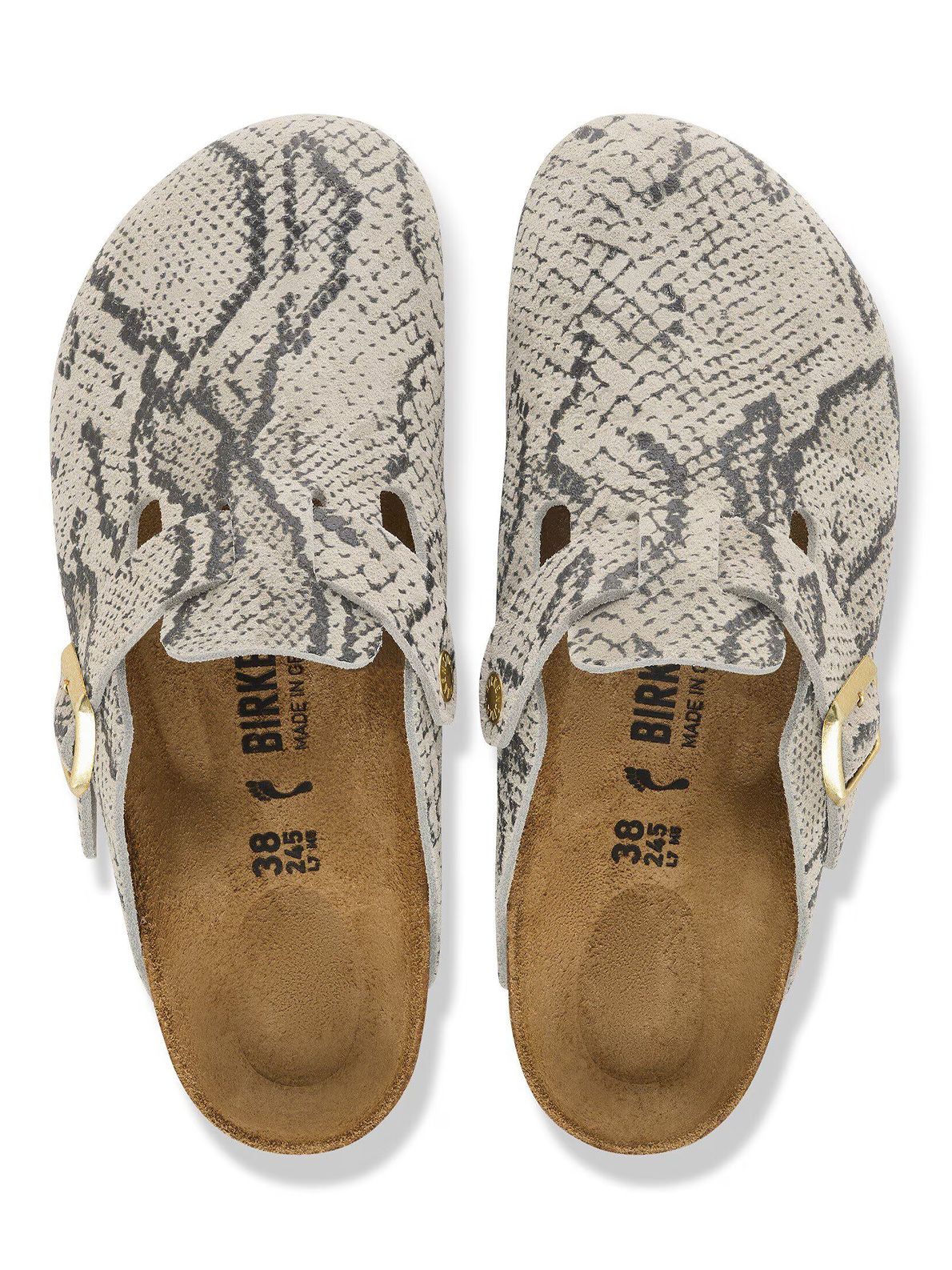 boston snake BIRKENSTOCK