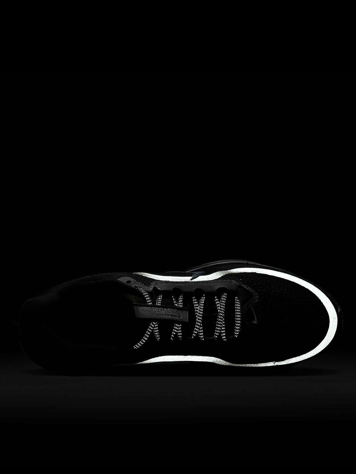 Pegasus premium black NIKE