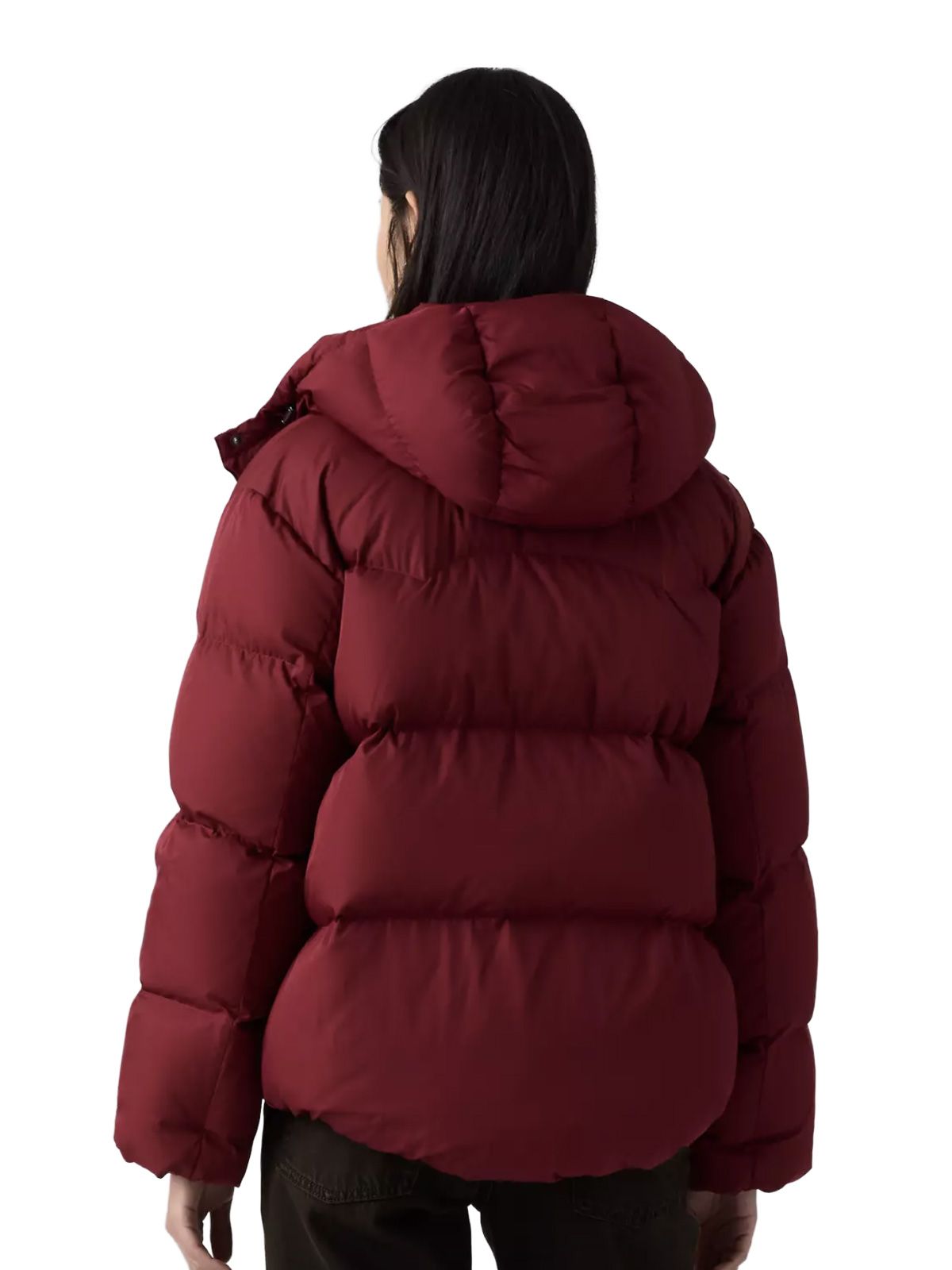 Bordeaux tate bubble puffer bomber LEVI'S