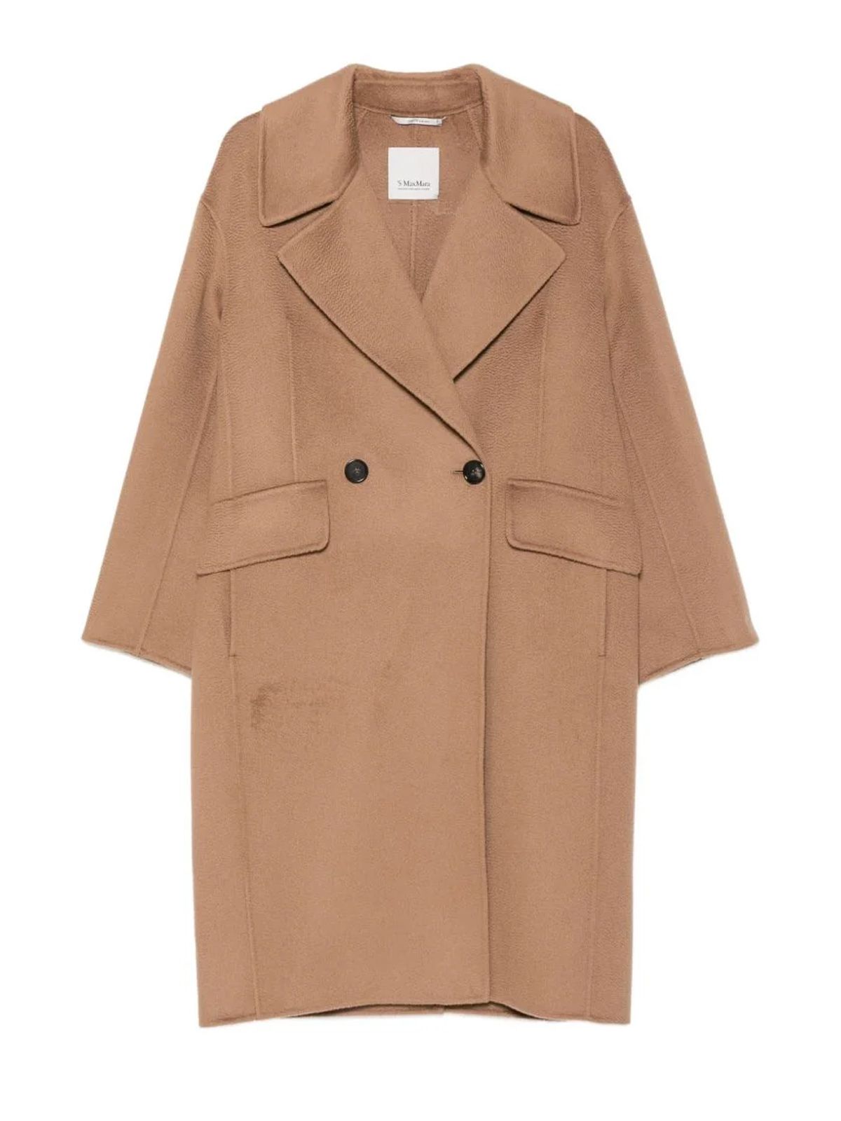 Light brown smmbruno coat