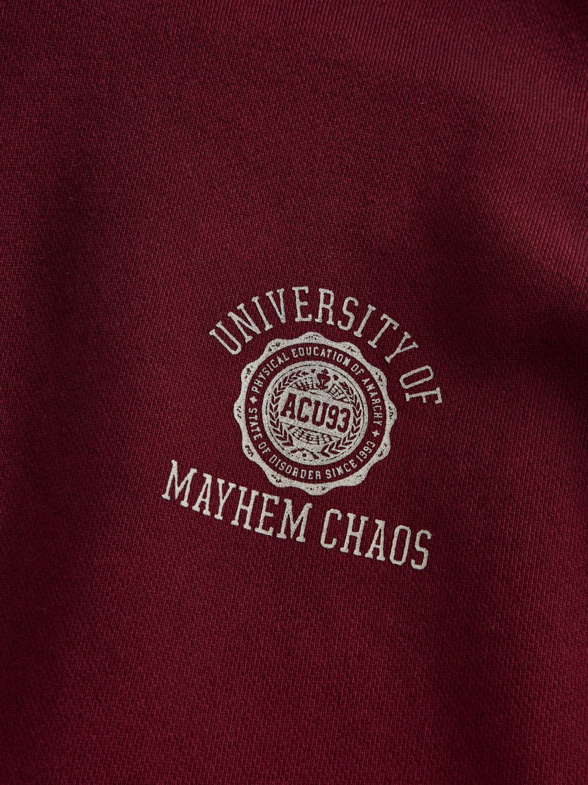 Felpa con cappuccio mayhem bordeaux ACUPUNCTURE