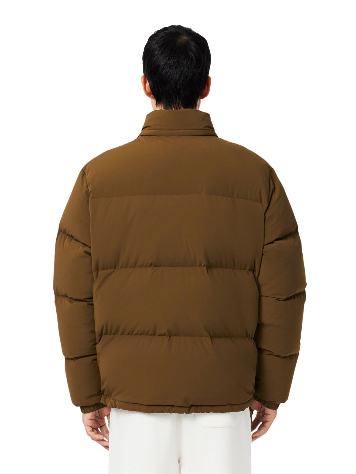 Brown jacket LACOSTE