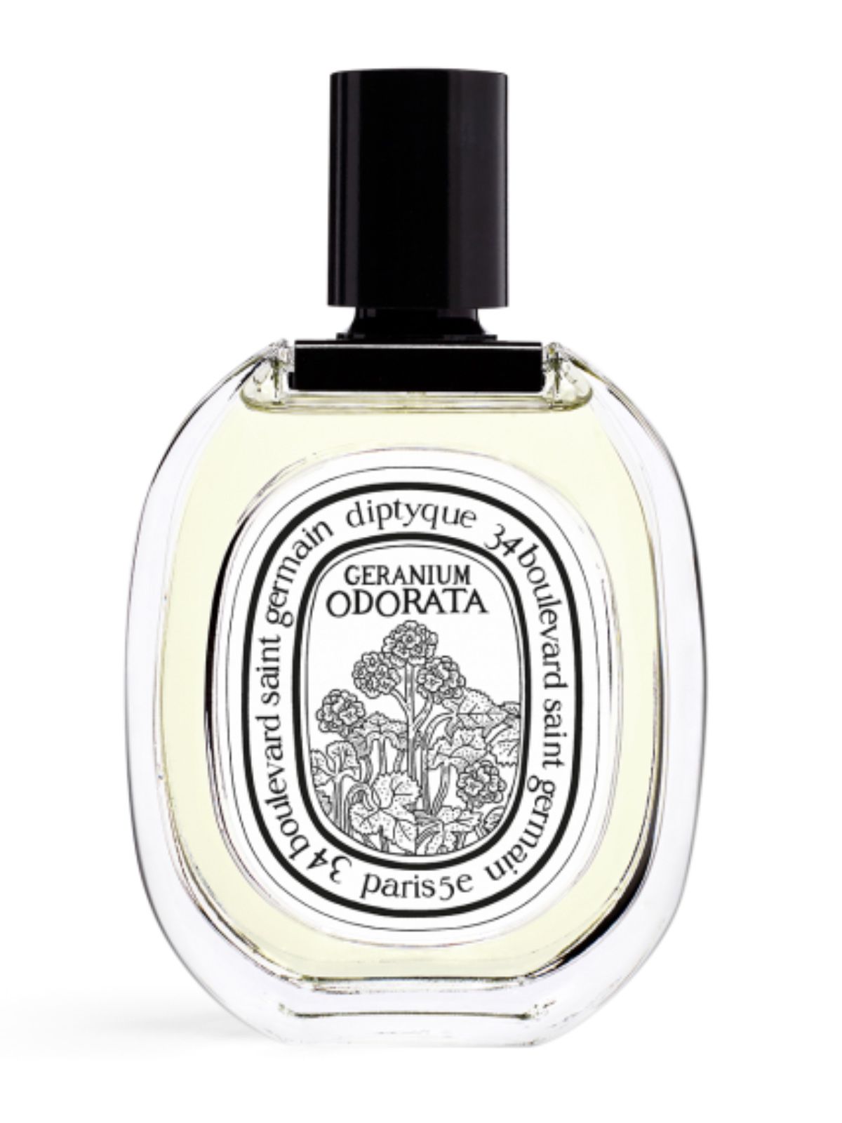 Eau De Toilette Geranium 100ml Diptyque